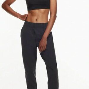 Aritzia Babaton Weekend Pant